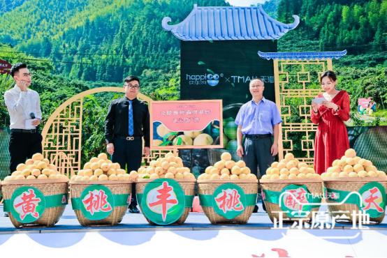 炎陵黄桃品牌大全,炎陵黄桃品牌