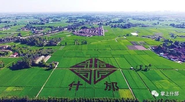 什邡市gdp四川排名,什邡市gdp在全国排名