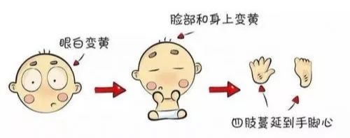 这样的医院，请来一打！