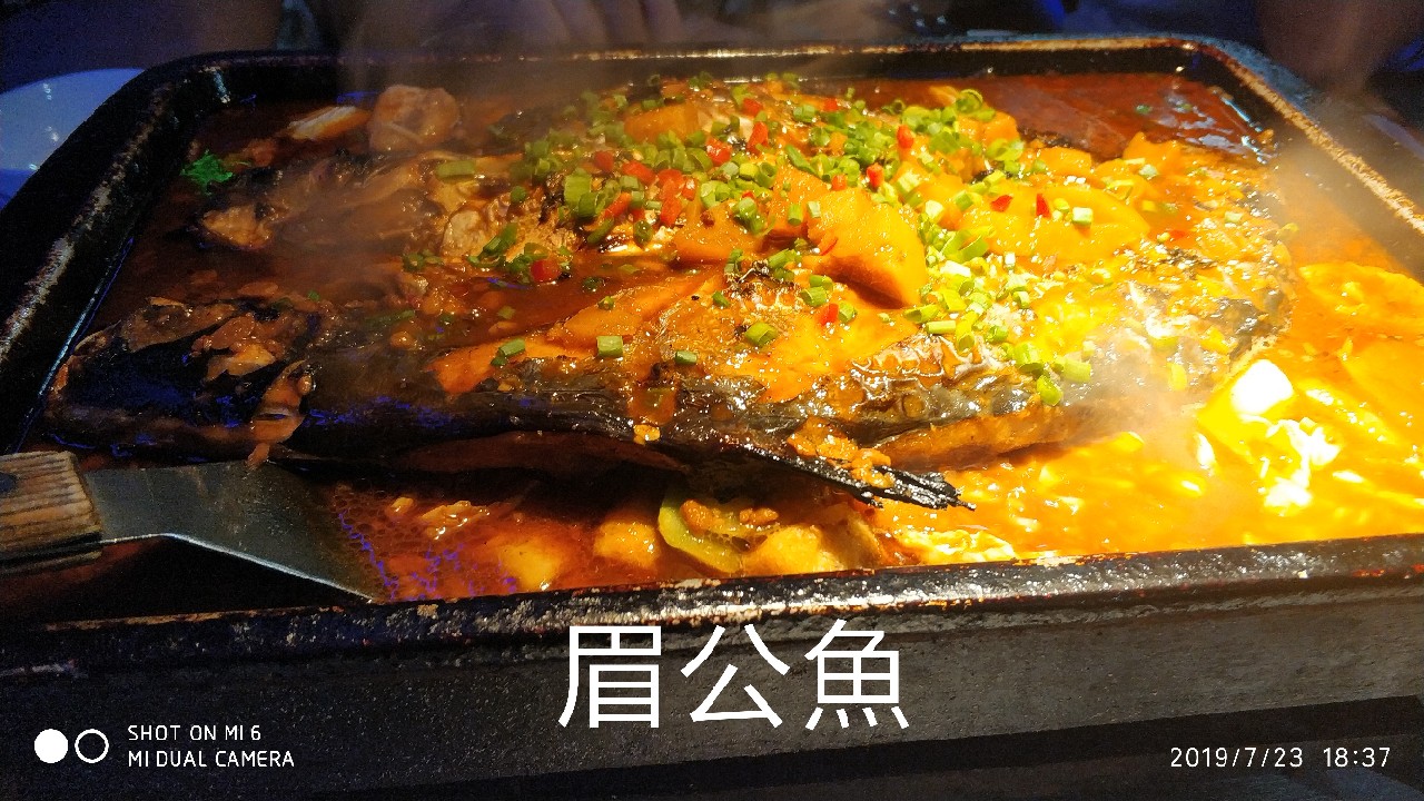 钓鱼享百味人生,钓鱼享乐趣