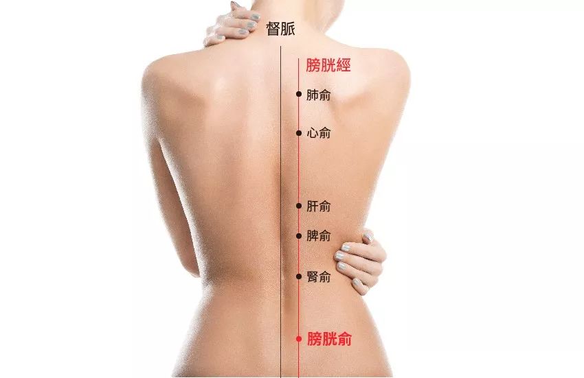 明星各个都有“干货”，你这个“湿人”就别诗情画意了