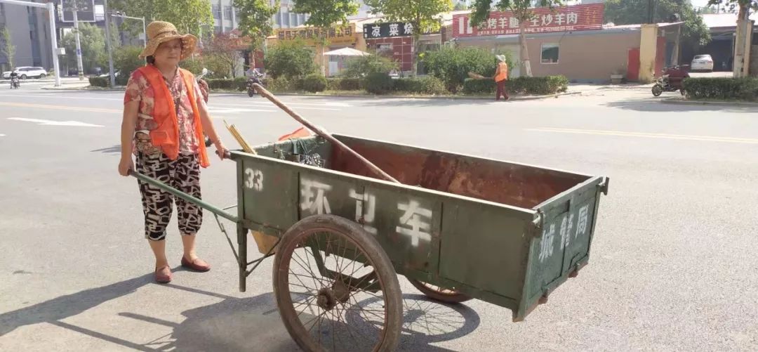 高温下，磁县娇艳的“城市黄玫瑰”