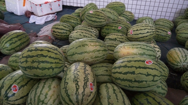 广州市水果市场热闹吗,广州水果市场有杨梅