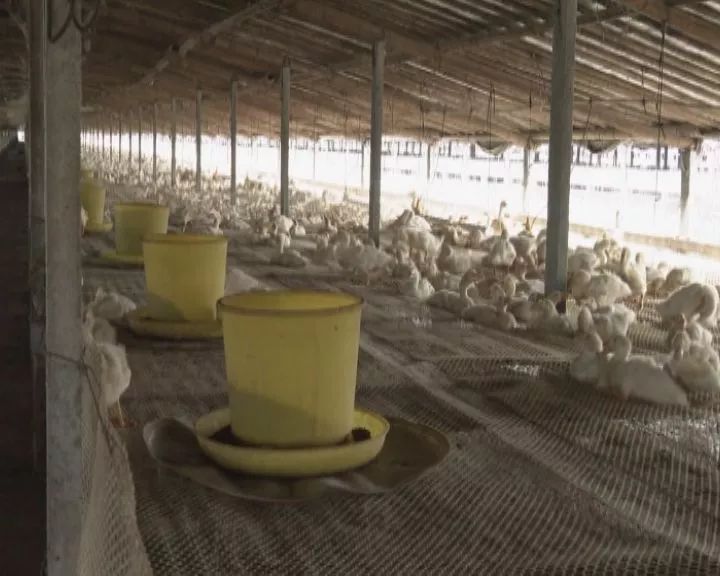 澶╁搴欓晣涓夎仈,鍏婚腑浜т笟鍙戝睍