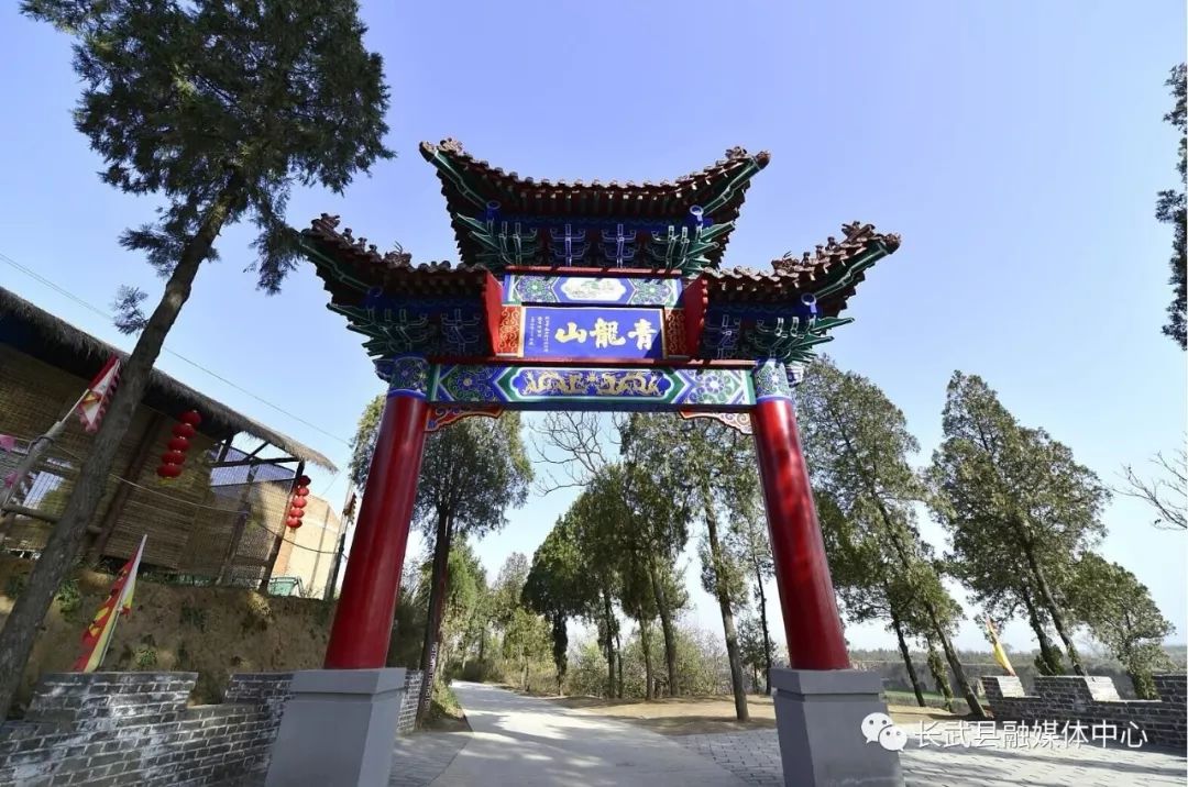 长武避暑胜地,长武青龙山避暑