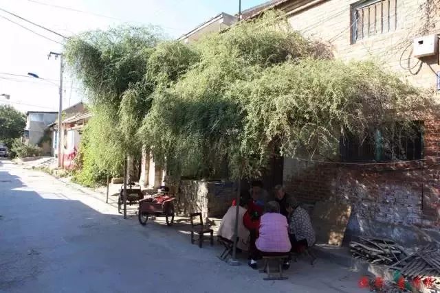 单县最值得去的地方,单县值得去的地方