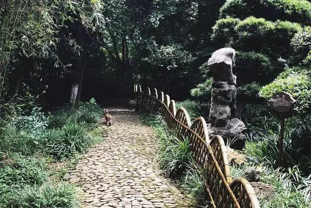 除了鸭血粉丝汤还有啥汤,南京值得去的鸭血粉丝汤