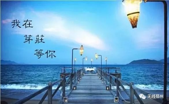 标哥带你去旅行直播,主播带你去旅行新闻稿