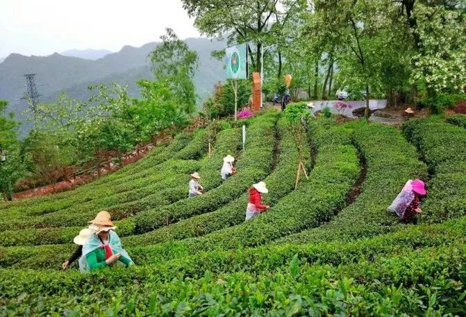 竹溪县龙王垭景区,竹溪龙王垭