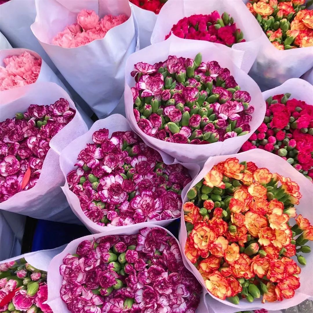 拔草厦门,厦门帆船酒店观景