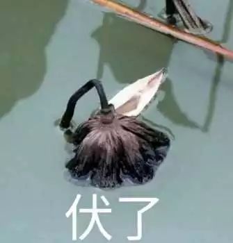 学医的千万不要和同行谈恋爱,千万不要和医学生聊天