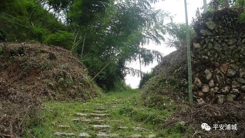 骞冲畨娴﹀煄鍓焊鍥剧墖,骞冲畨娴﹀煄