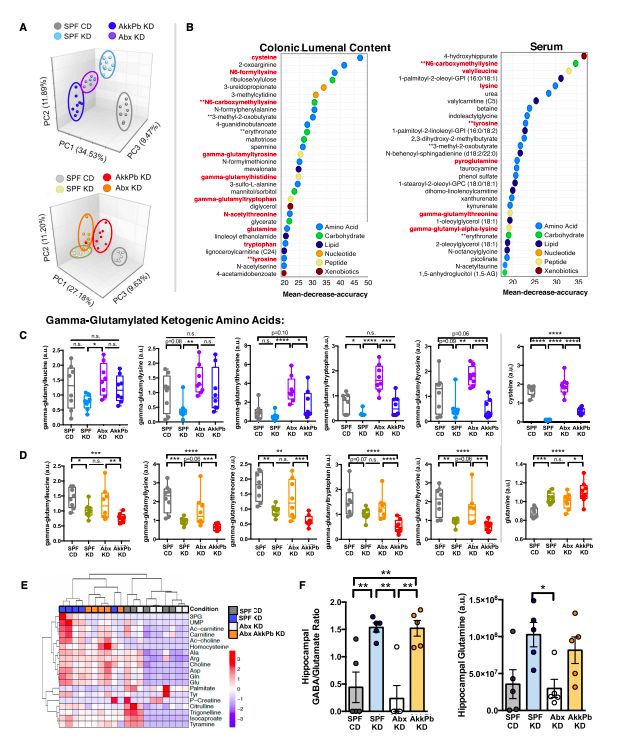akk益生菌,益生菌akk瘦子菌推荐