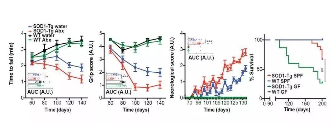akk益生菌,益生菌akk瘦子菌推荐
