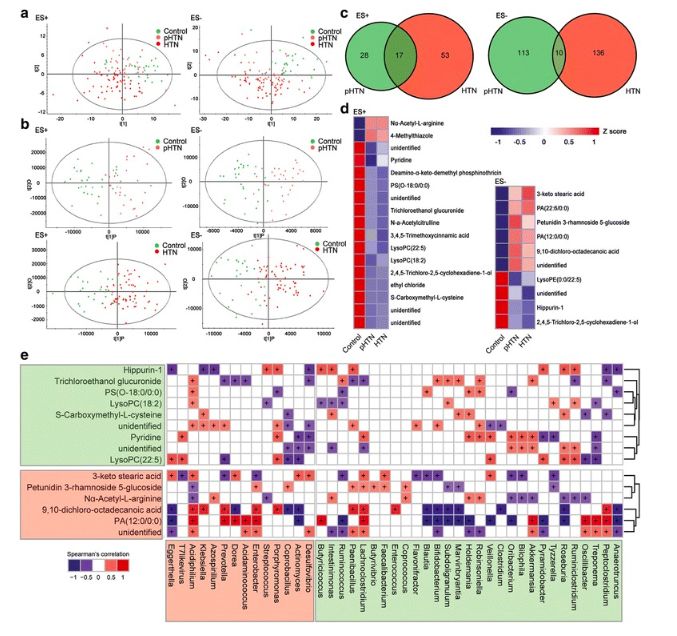 akk益生菌有什么功效,万能益生菌效果怎么样