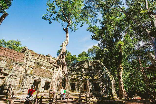 柬埔寨暹粒吴哥王朝,暹粒吴哥迷城游记