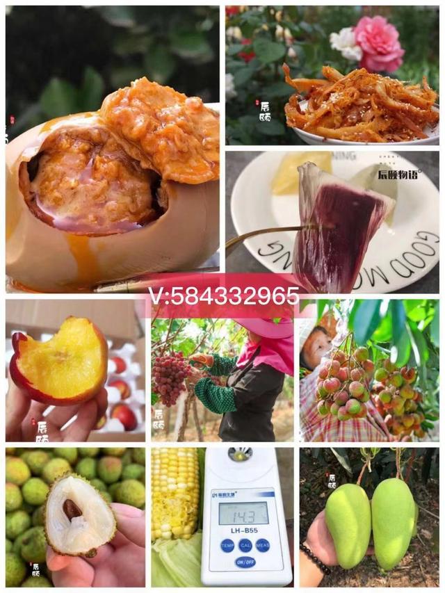 辰颐微商水果怎么加盟,辰颐物语水果代理