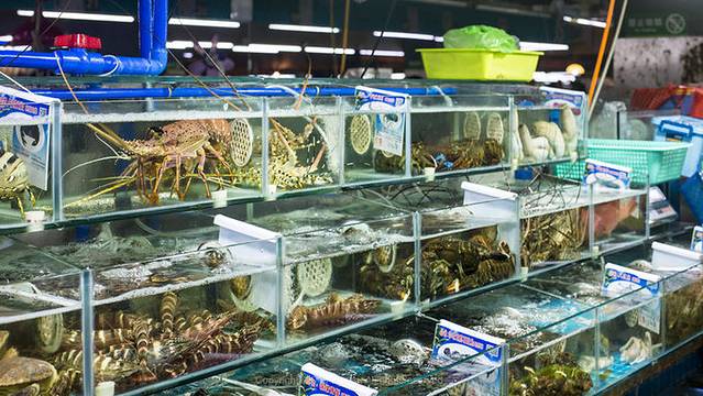 近七天游三亚,海南轻松游