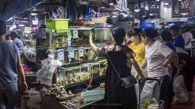 近七天游三亚,海南轻松游