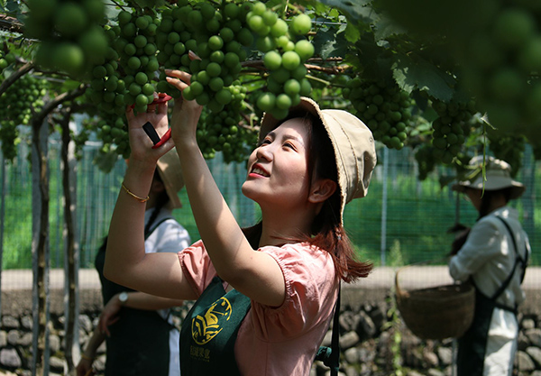 爱上古诗之夏日田园杂兴,跟读古诗四时田园杂兴