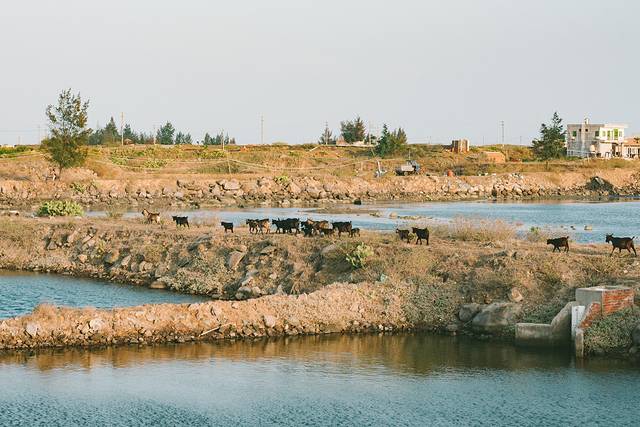 大陆之南,粤西越美,被旅行者忽略的处女地——雷州半岛