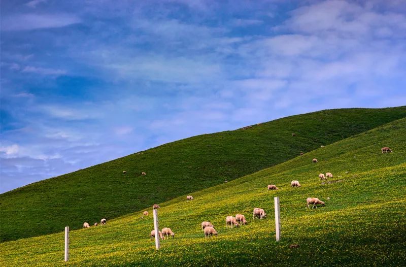 曲靖全国十大宜居城市第一,曲靖荣获多少次全国十大宜居城市