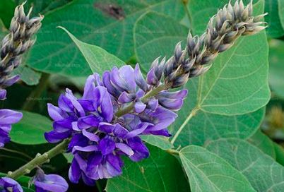 昔日女神负面消息缠身险过气，转手做生意却搞得风生水起