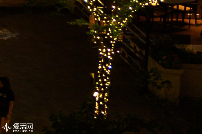 腾龙sp35mm1.4镜身是金属的,腾龙sp17-50mmf2.8镜头