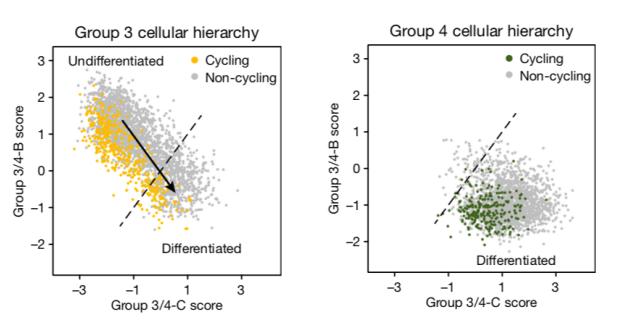 nature解密细胞图谱,nature基因组突变