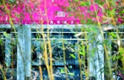 最美书店网红打卡地,不能错过的网红书店