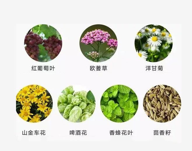 腰酸背痛、肩颈酸乏、肌肉疲劳？德国人有个家喻户晓的妙招