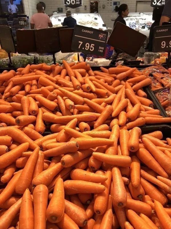 在迪拜生活需要多少存款,在迪拜普通人打工生活消费高吗