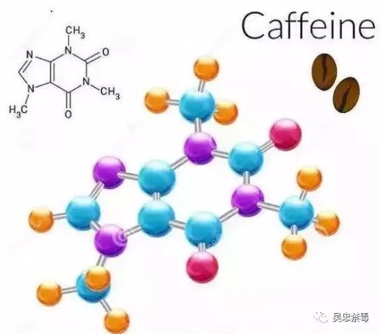 禁毒小课堂的答案是什么,禁毒小课堂