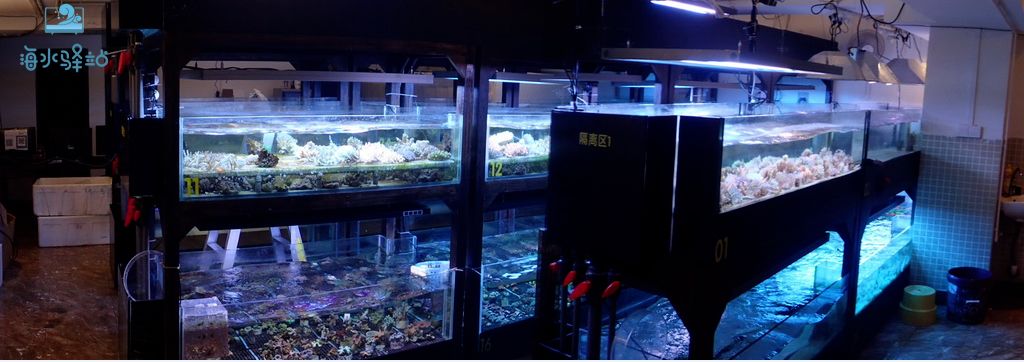 鱼缸用什么样的冷水机比较好,海水鱼缸冷水机哪个牌子的好