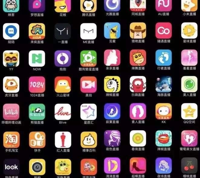 “网红”变现20年：从南派三叔到李佳琦，内容与颜值的博弈