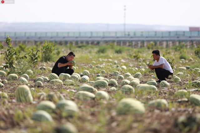 瀹佸瑗跨摐浠婂勾鐘跺喌,鐢樿們瑗跨摐婊為攢鐜扮姸
