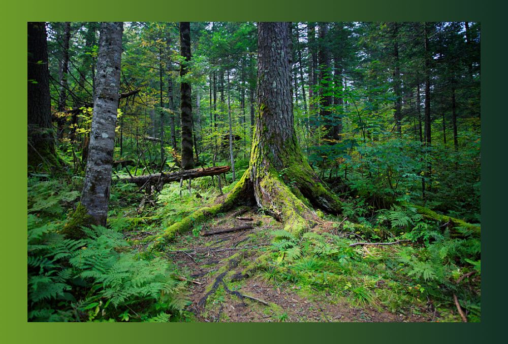 立秋宜下雨还是天晴,这是立秋后最凉快的一天