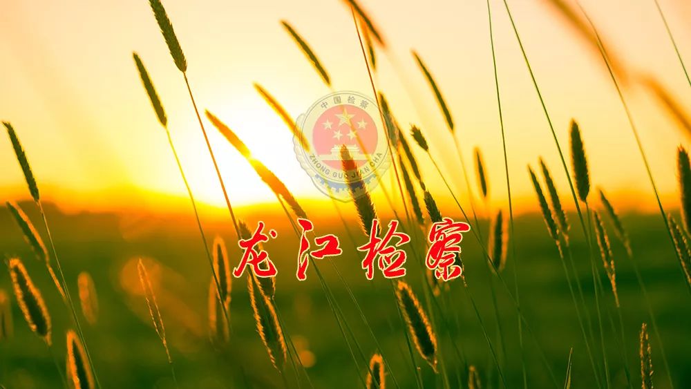 守护成长直播,守护成长的抖音直播间