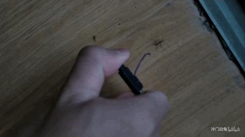 为什么有一些蚊子会飞还会叮人,为什么会有蚊子这种生物有趣回答