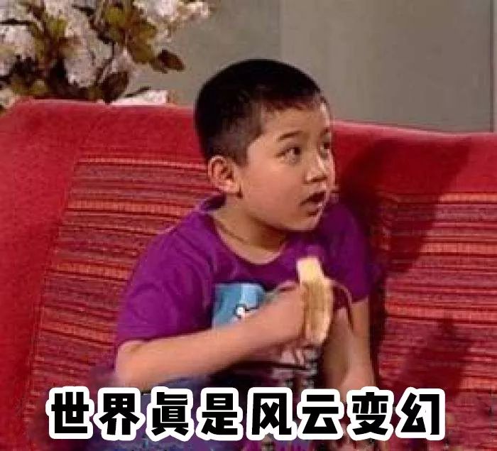 家有儿女长大后回忆,家有儿女经典回忆录