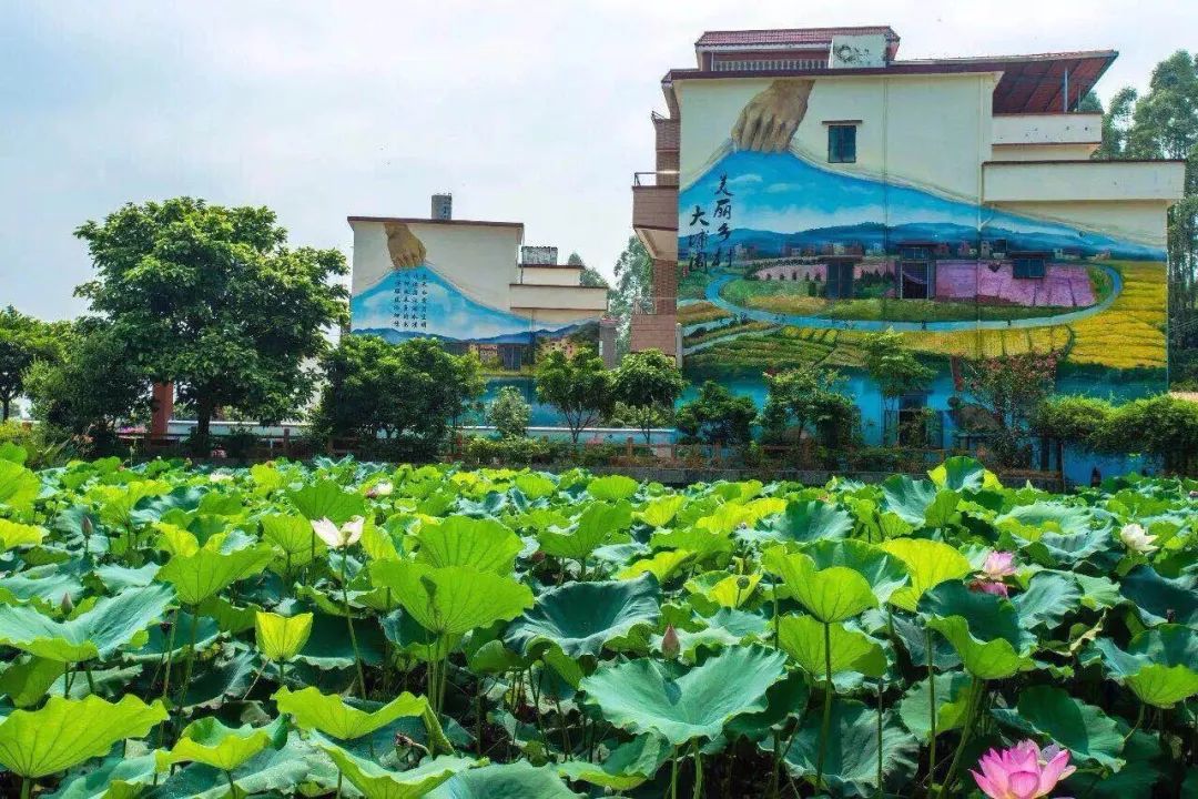 增城附近有什么好玩的休闲娱乐,增城娱乐的地方