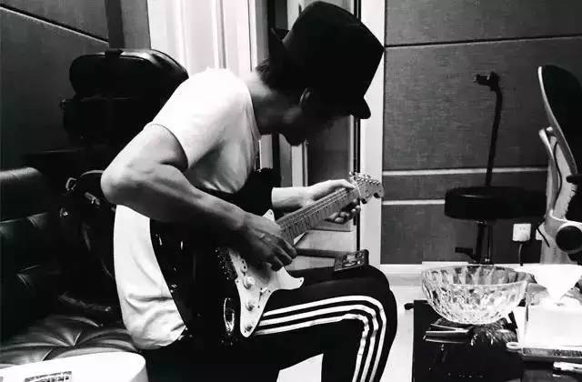 为什么朴树这么火,为什么朴树价格这么高