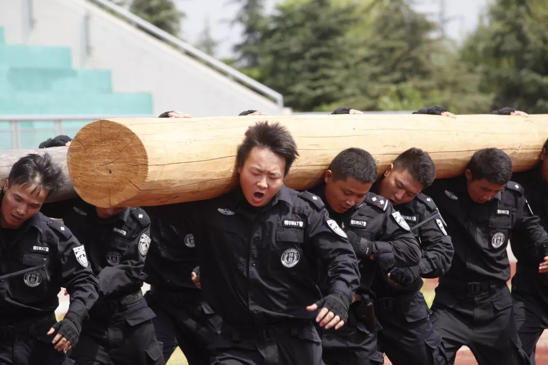 桐乡公安协警招聘,桐乡公安招警报名时间