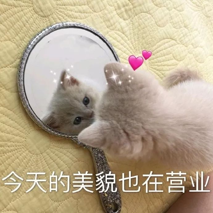 洗出黑头的洗面奶测评,最好用的洗面奶测评温和不刺激