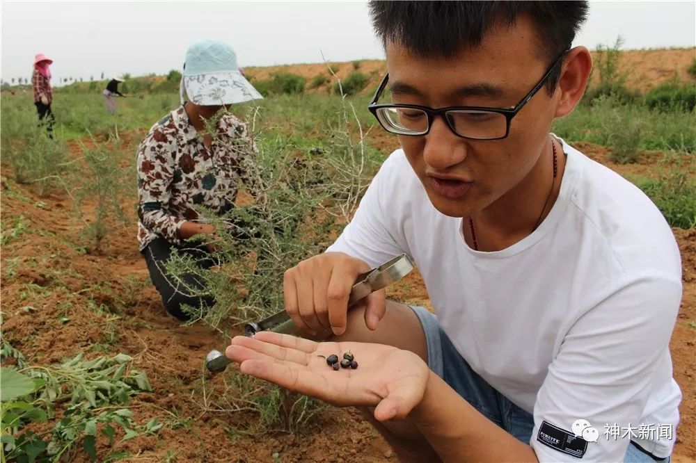 90后小伙子带村民致富,90后小伙带领全村人致富后续