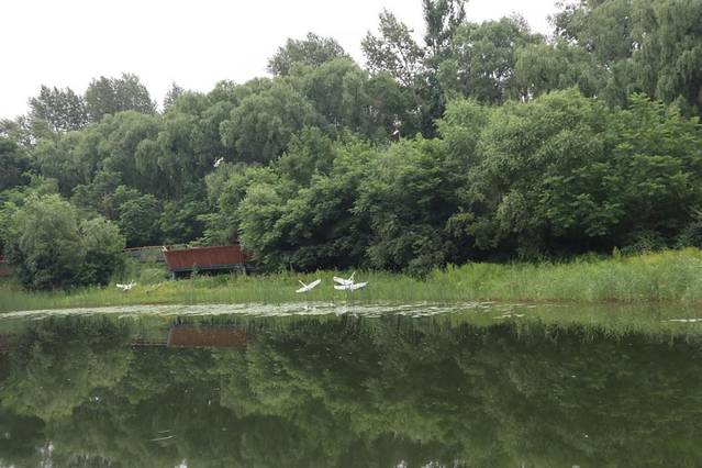 长白山风景区自驾最佳路线图,自驾游长白山路好走吗