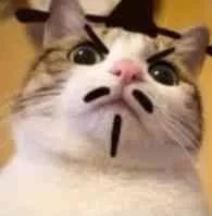 广西交通违法拍照规则,广西交通违法举报