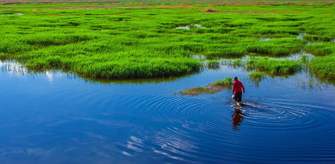 绥化发展规划,绥化高质量发展