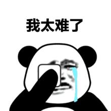 海南特别小的虫子跟小黑点一样大,海南好多黑色小虫子