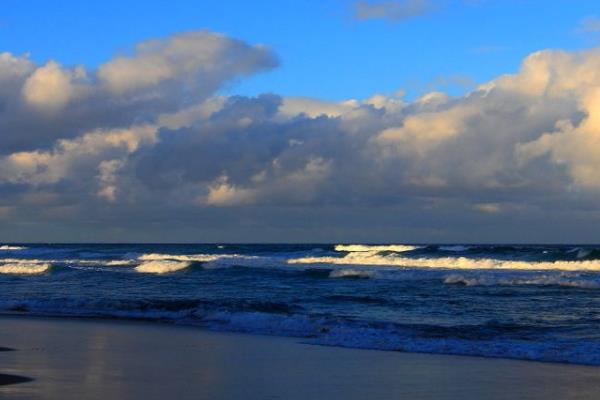 办澳洲签证要多少钱,澳洲留学签证23年8月被拒的几率